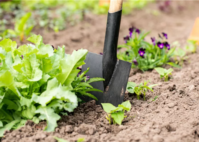 Hilfreiches und praktisches Zubehör zum Gärtnern