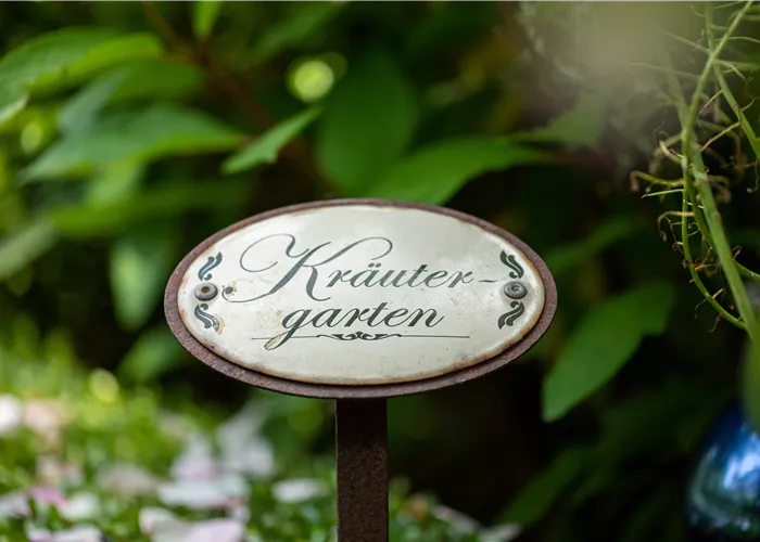 Ernte ohne Garten - Im duftenden Kräutergarten auf dem Balkon