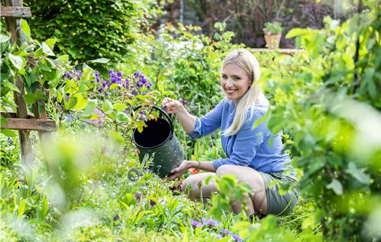 Tipps für die Wasserversorgung im Sommer