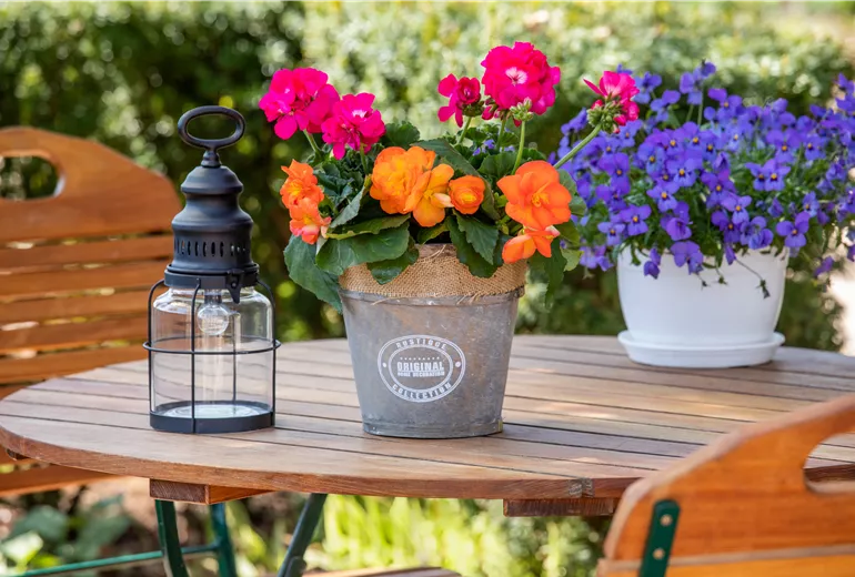 Bepflanzter Übertopf im Gartenambiente
