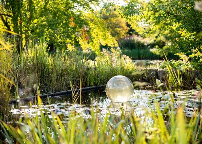 Wasserpflanzen pflegen für die Gesundheit der Pflanzen
