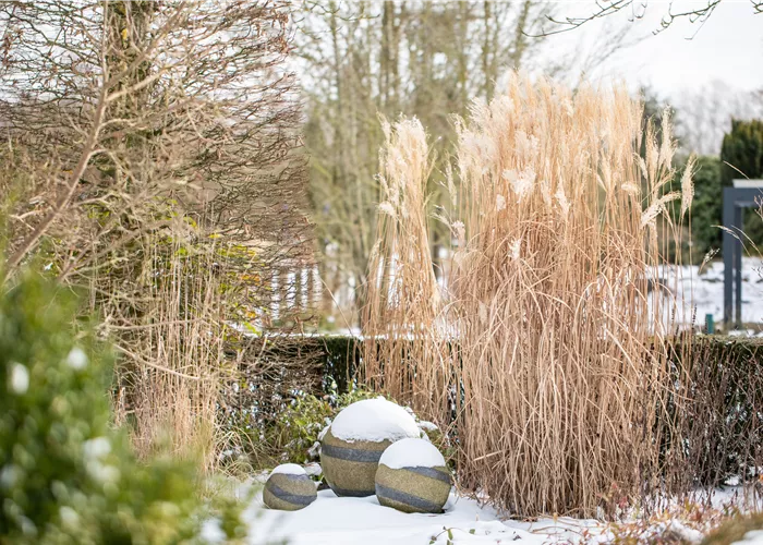 Warum Gartenarbeit im Januar wichtig ist