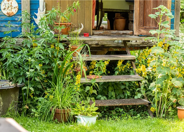 Nachhaltig gärtnern mit unseren 10 Tipps