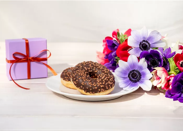 Blumen als Geburtstagsgeschenk – Die gehen einfach immer!